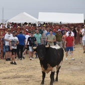 Momento de la cita taurina.