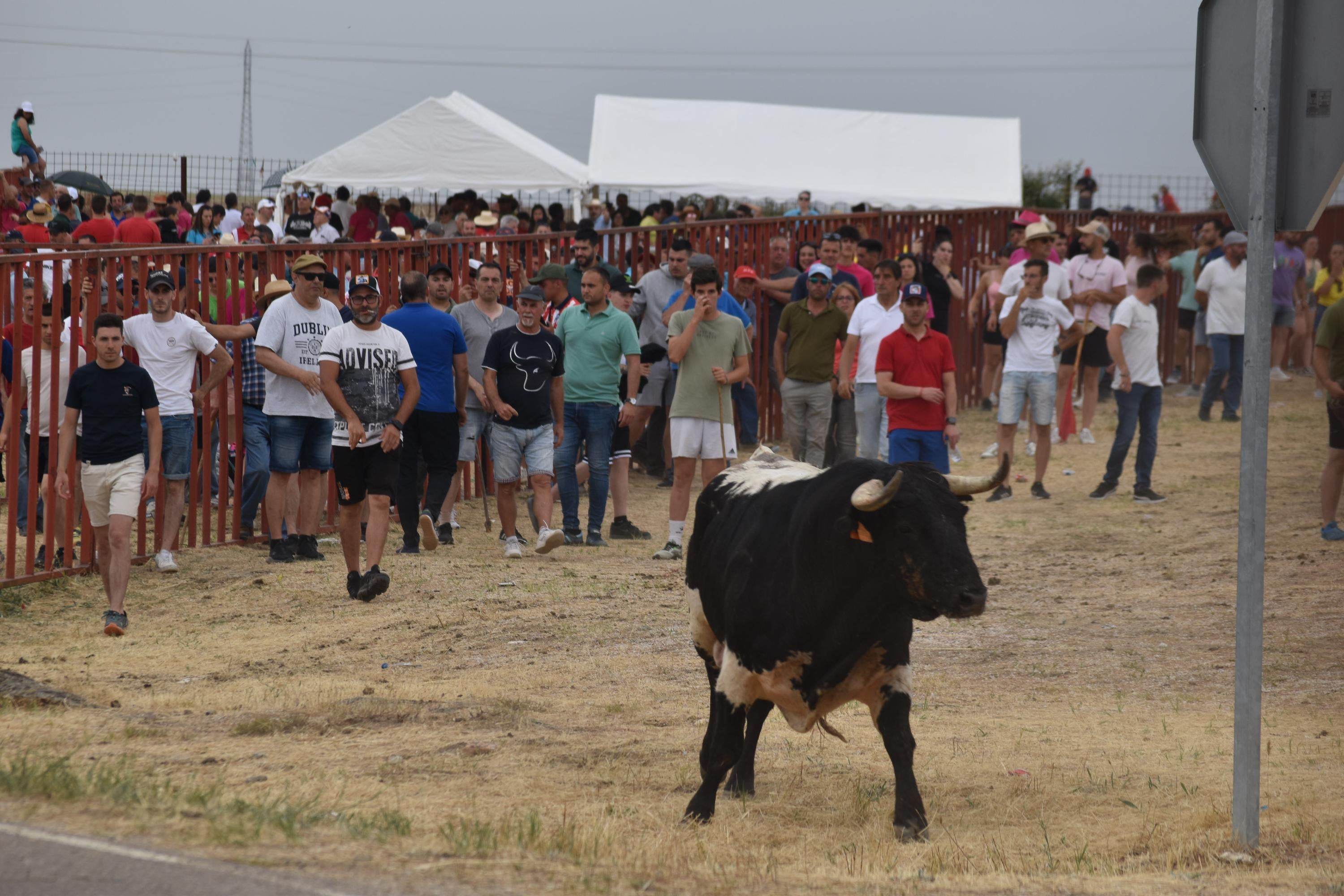 Tradición y riesgo en la última cita de los ‘Espantos’ en Ledesma
