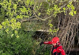 Un momento del dispositivo de búsqueda desplegado en la zona.