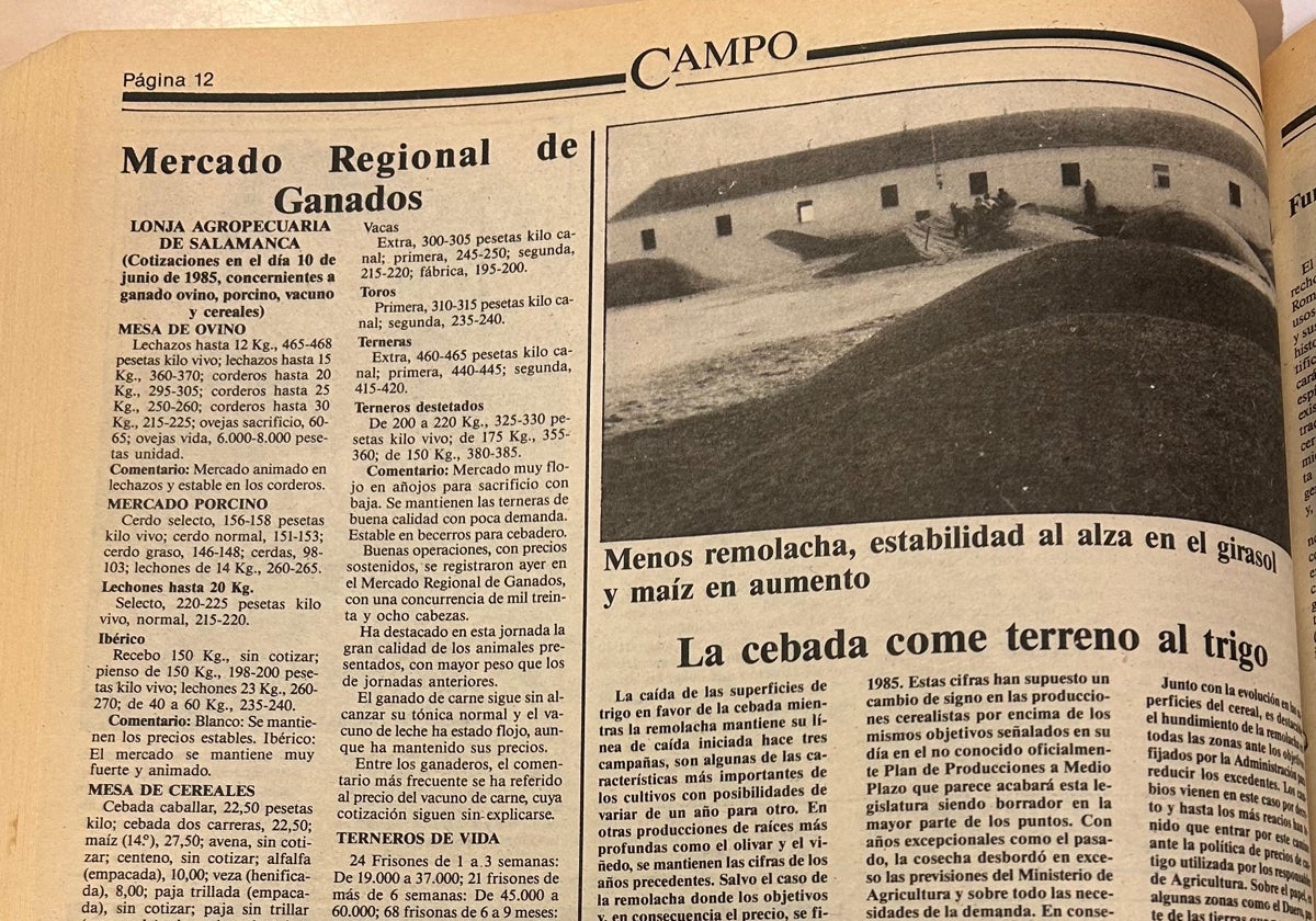 Lonja de Salamanca del 10 de junio de 1985.