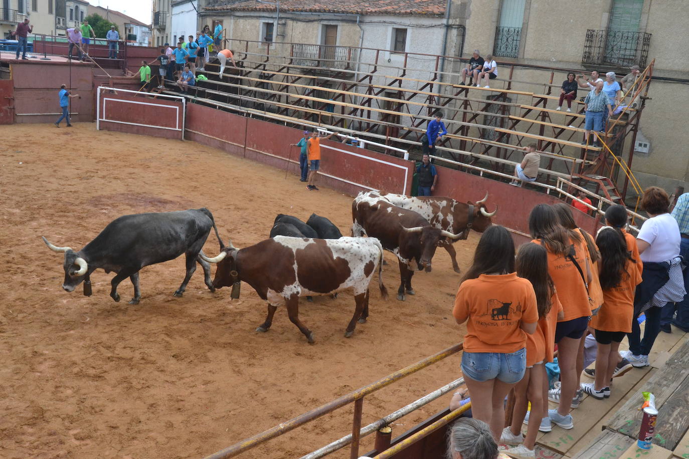 Brillante cierre de San Juan en Hinojosa de Duero