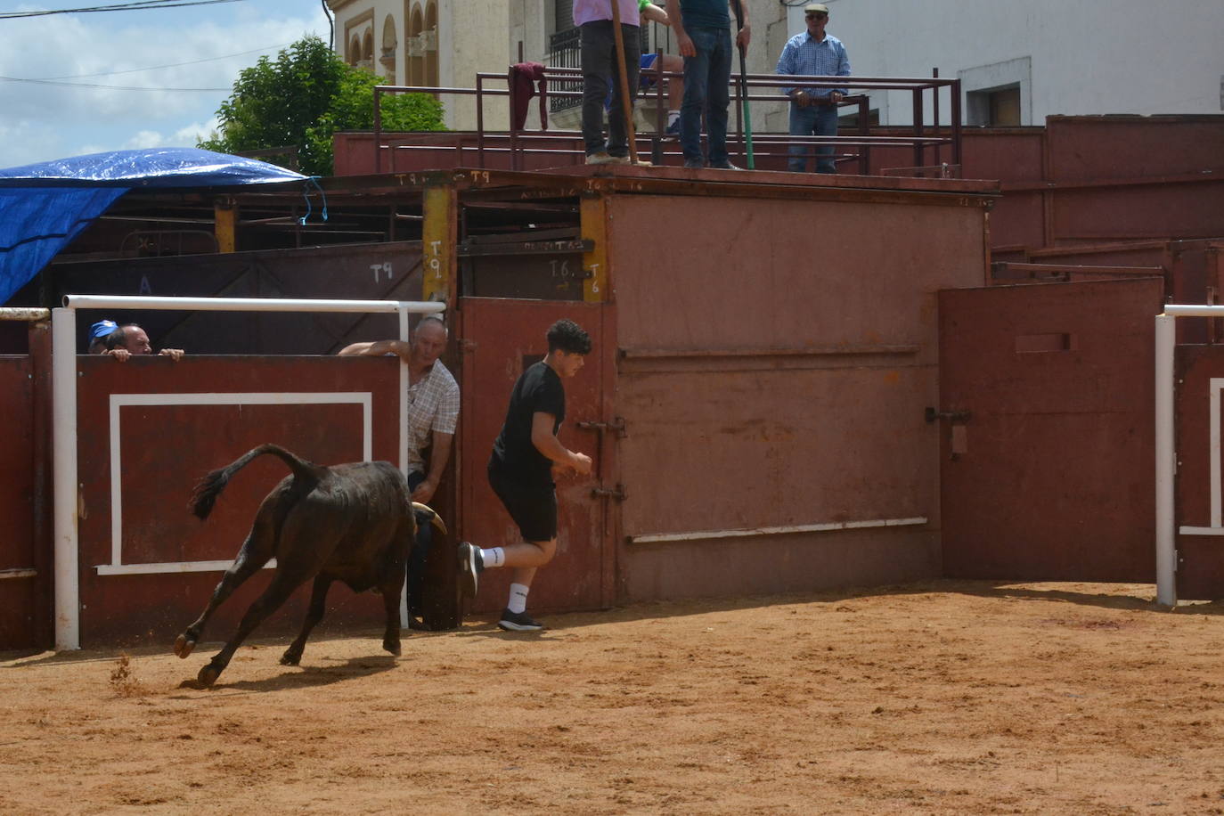 Brillante cierre de San Juan en Hinojosa de Duero