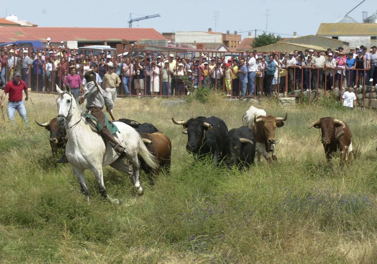 Espantos de Ledesma celebrados en el año 2000.