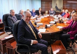 El presidente del Tribunal Constitucional, Cándido Conde-Pumpido, y los demás magistrados en un Pleno (Imagen de archivo).