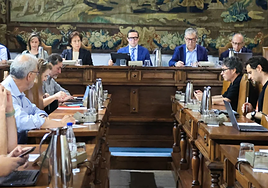 Consejo de Gobierno de la Universidad celebrado este jueves.