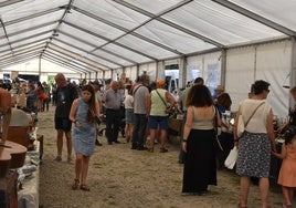 Imagen de la carpa en donde se ubican los expositores con antigüedades de todo tipo
