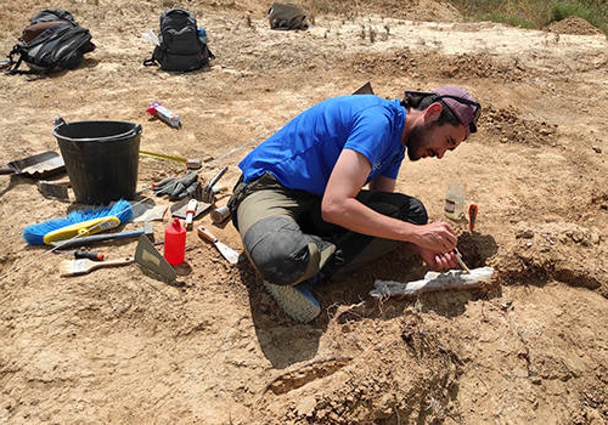 El investigador de la Universidad José Manuel Gasca, excavando en sedimentos eocenos.