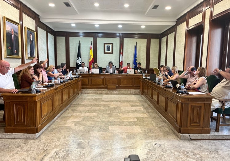 Votación para aprobar la declaración con motivo del Día Internacional del Orgullo LGTBI.