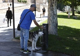 Un hombre refresca a su perro en una fuente.