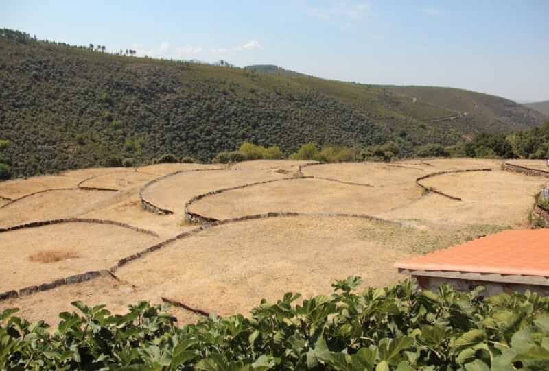Imagen de las eras de Monsagro.