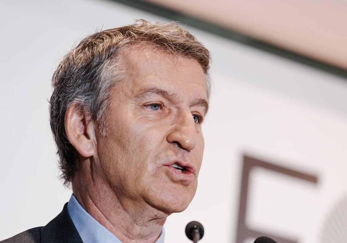 El presidente del Partido Popular, Alberto Núñez Feijóo.