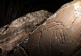 Grabados vistos en una visita nocturna