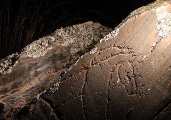Grabados vistos en una visita nocturna
