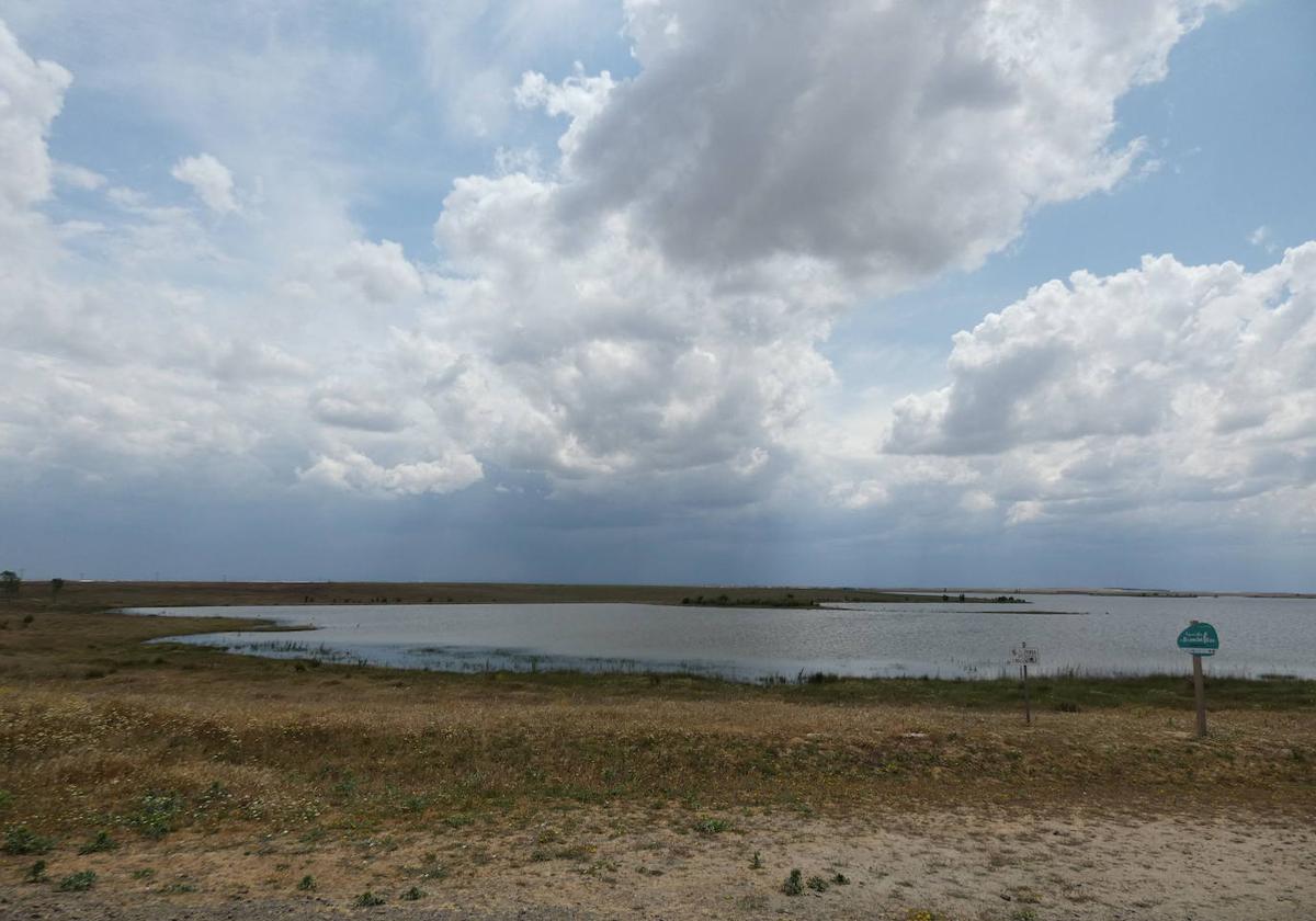 El embalse del Azud de Riolobos recibe anualmente la visita de más de 250 especies de aves.