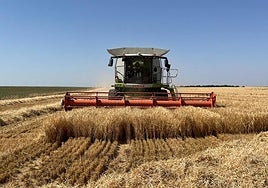 Un agricultor, trabajando en su parcela.