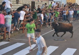 Los mozos durante el encierro del pasado año