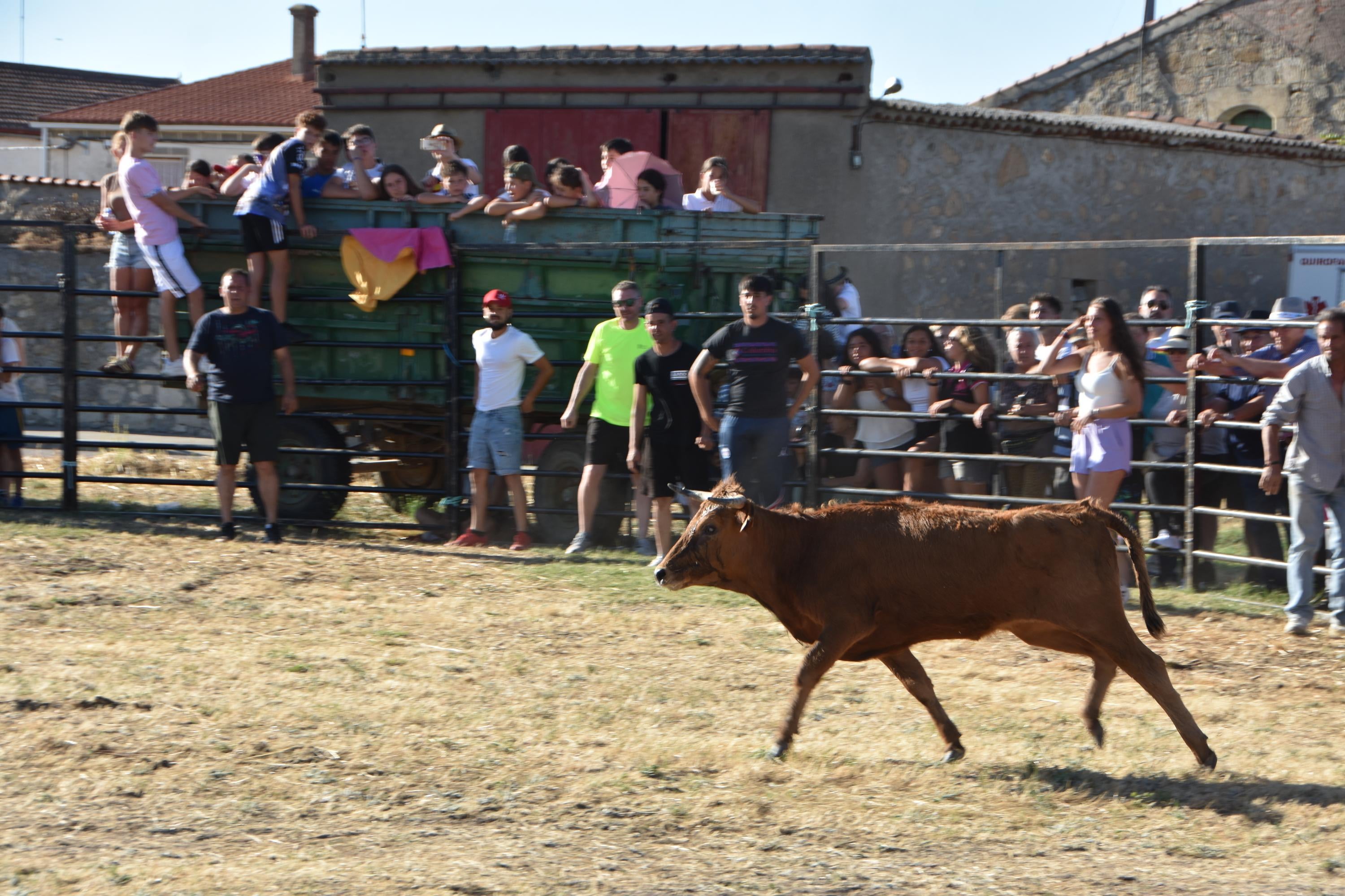 Risas y tradición en el cierre de las fiestas de Forfoleda