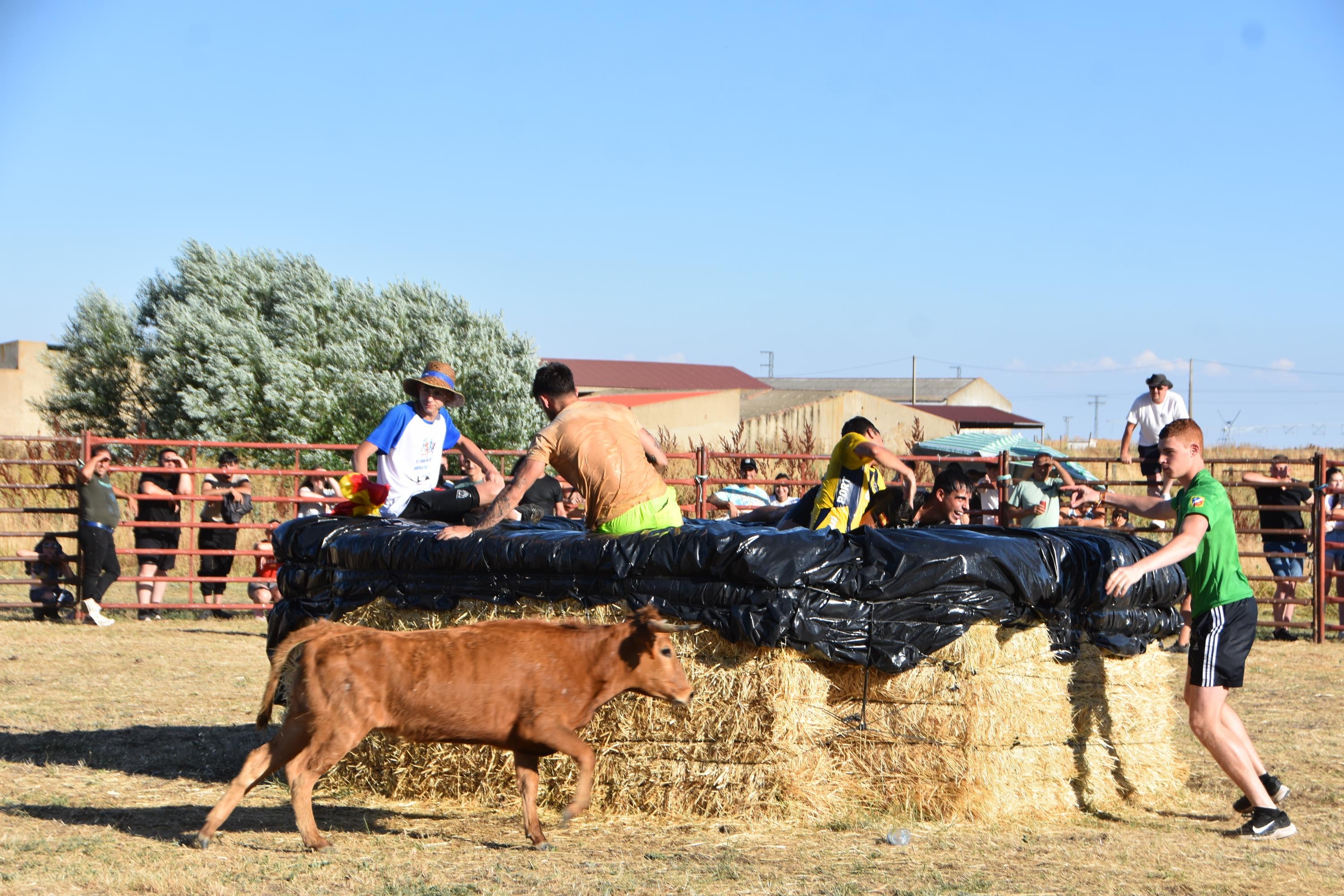 Risas y tradición en el cierre de las fiestas de Forfoleda