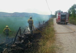 Bomberos de la Diputación sofocan otro fuego en Alba.