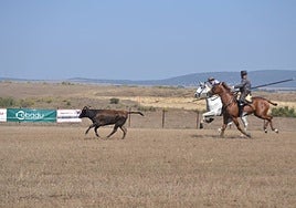 Un lance del concurso del verano pasado en Ciudad Rodrigo