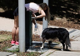 Una mujer y un perro cogen agua en una fuente en una jornada de calor.
