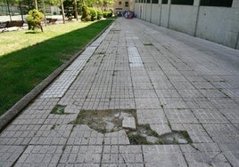 Bache en la acera de la plaza de Burgos.