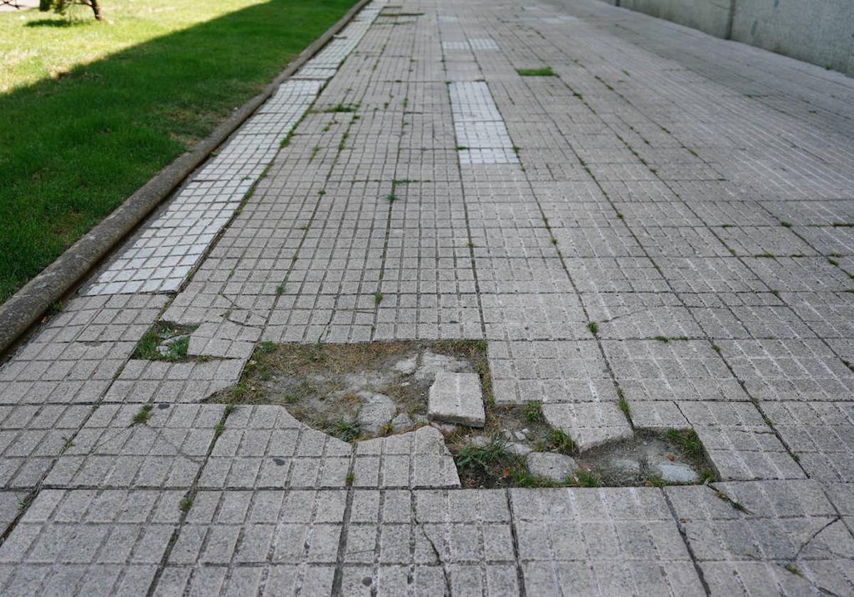 Bache en la acera de la plaza de Burgos.