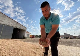 Un agricultor muestra los guisantes recolectados en Cantalapiedra.