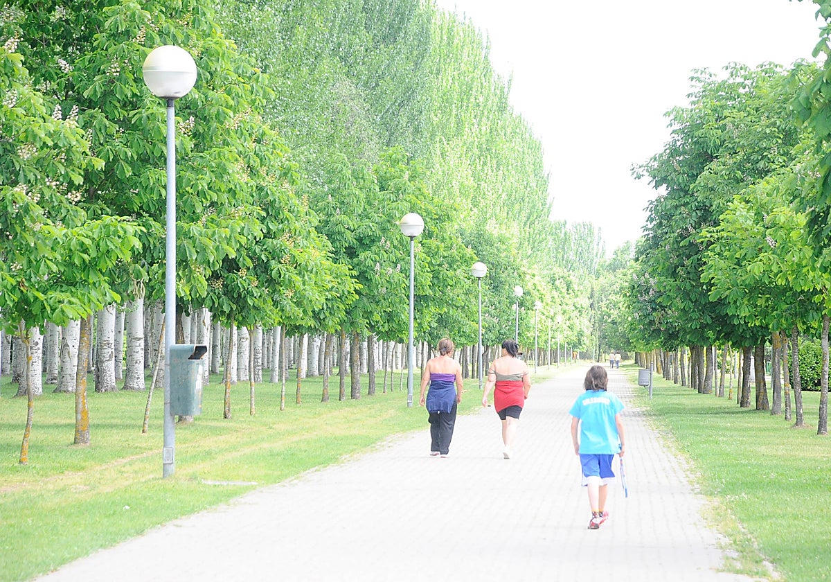 Ciudadanos pasean por el Camino de la Aldehuela.