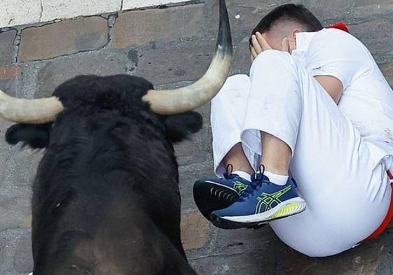 Un mozo se tapa ante un toro en el encierro.