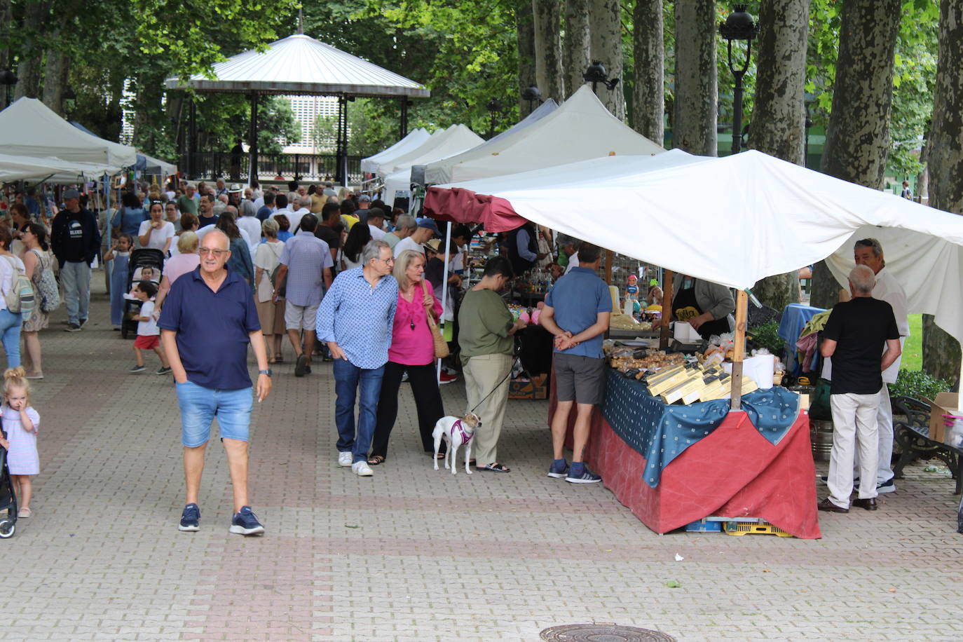 El Festival Internacional de Blues de Béjar llena la ciudad