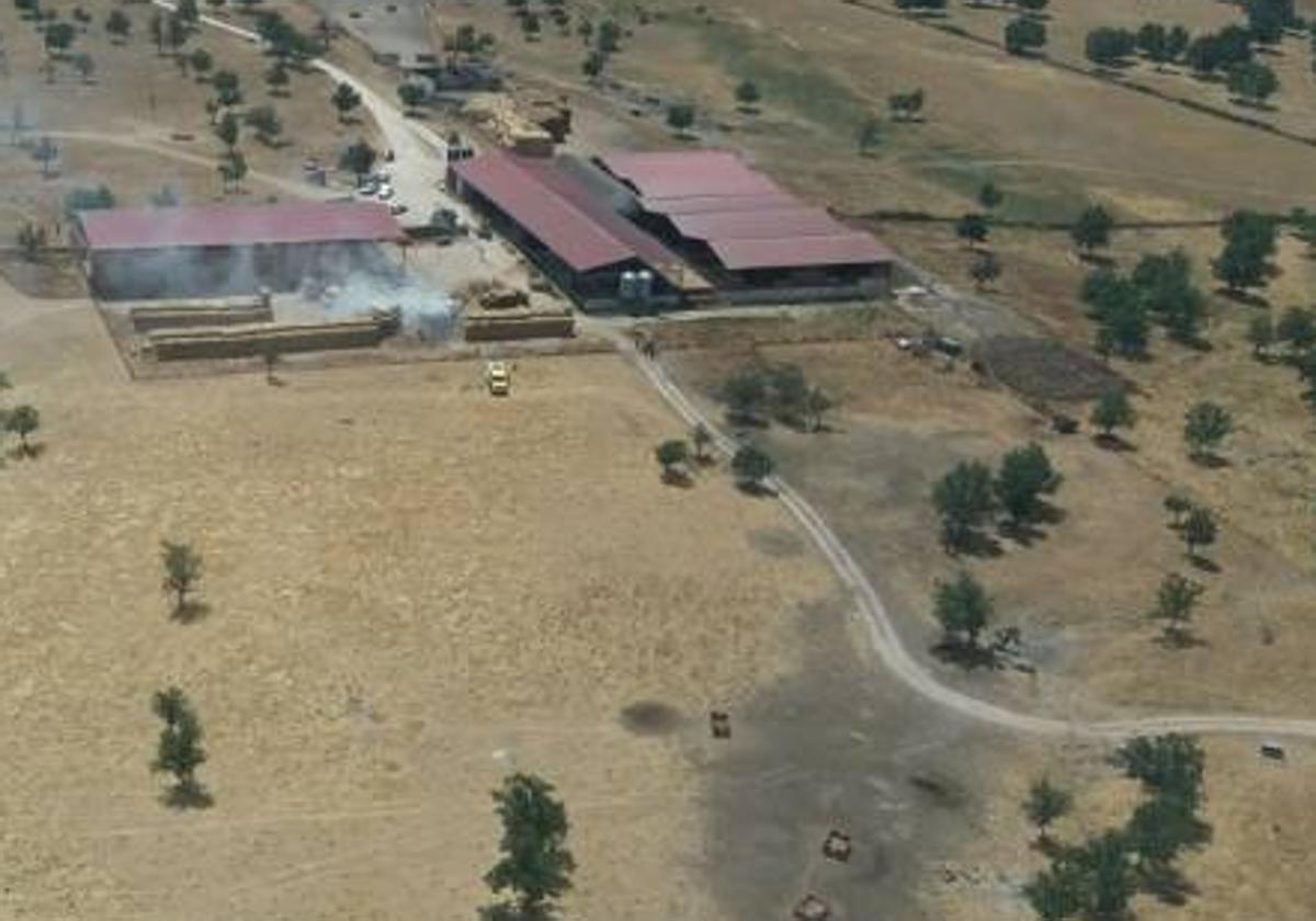 Imagen de la superficie calcinada por el fueg en la dehesa Hernandinos.