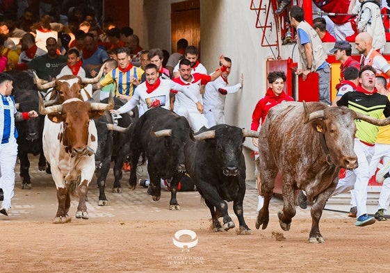 Los toros de Miura, a su llegada al coso en el encierro de esta mañana.