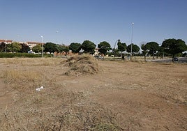 Los servicios municipales trabajan estos días en los solares de Puente Ladrillo.