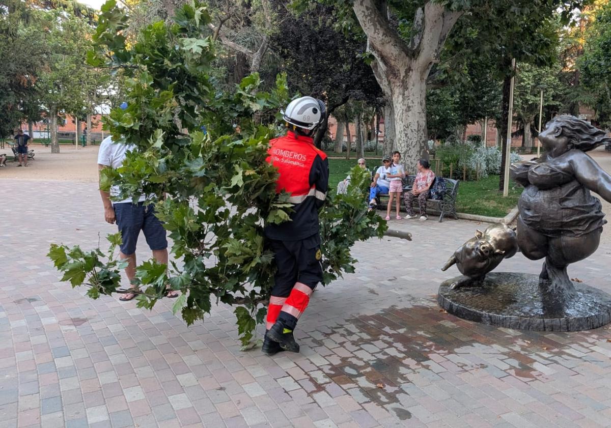 Imagen principal - Susto en La Alamedilla: una mujer herida tras el impacto de una rama