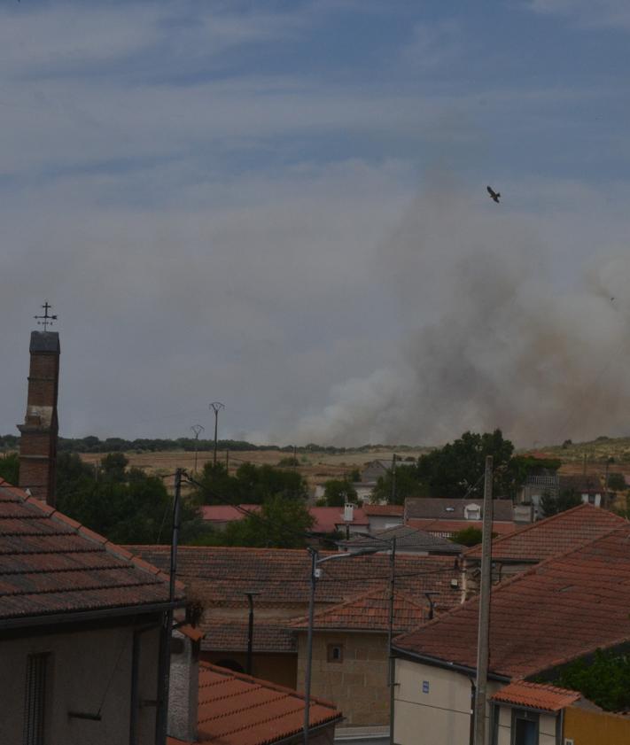 Imagen secundaria 2 - Controlado el incendio en Castillejo de Martín Viejo tras cinco horas