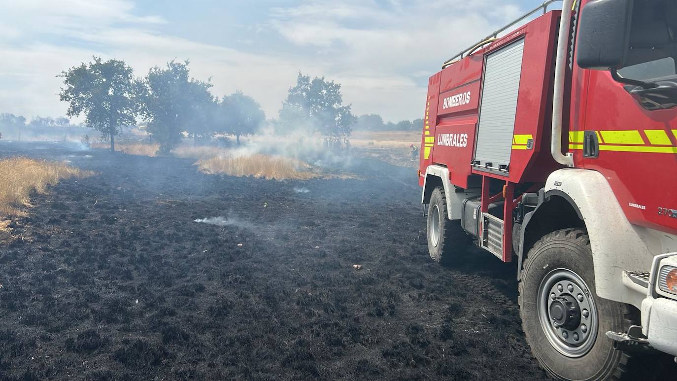 El incendio en Castillejo de Martín Viejo, en imágenes