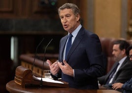 El presidente del PP, Alberto Núñez Feijóo.