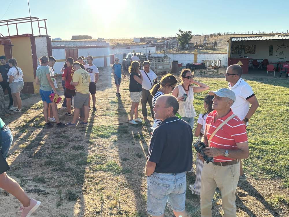 Una soleada tarde taurina compartida entre los vecinos de Palaciosrubios