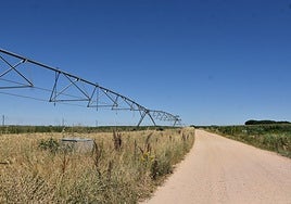 Imagen del camino de Pitiegua a El Pedroso de la Armuña, donde han ocurrido los hechos.
