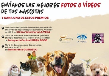 LA GACETA busca a la mascota más divertida del verano: ¡Participa en nuestro concurso!