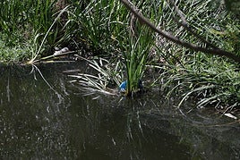 ¿Le preocupa el estado actual de limpieza y seguridad de los ríos de la provincia?