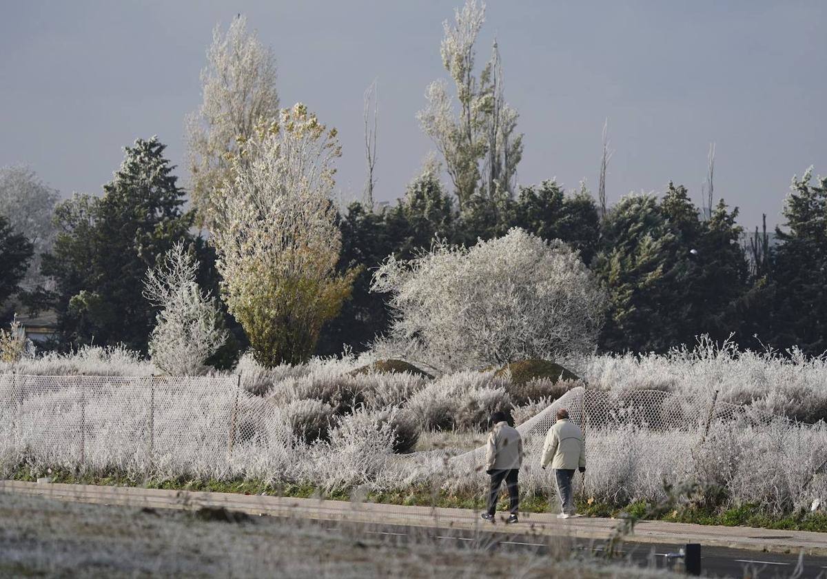 Un paisaje frío por las bajas temperaturas.