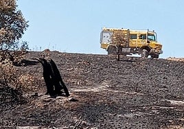 Efectivos neutralizando el incendio de este domingo.