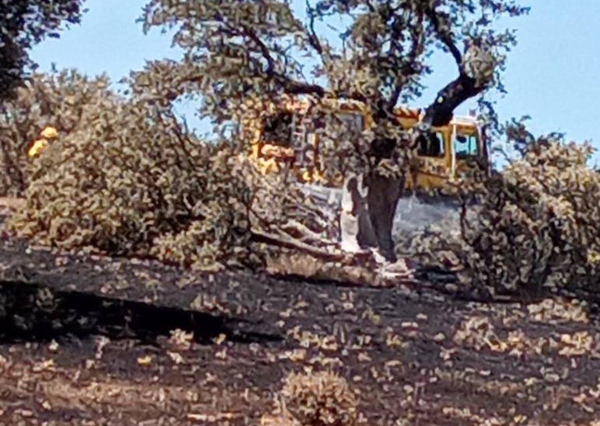 Imagen secundaria 1 - Medios aéreos y terrestres sofocan un incendio forestal en Martín de Yeltes