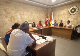 Imagen del pleno en Babilafuente.