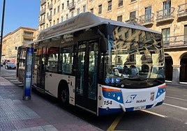 ¿Utilizará el nuevo servicio para recargar la tarjeta del bus urbano de forma online?