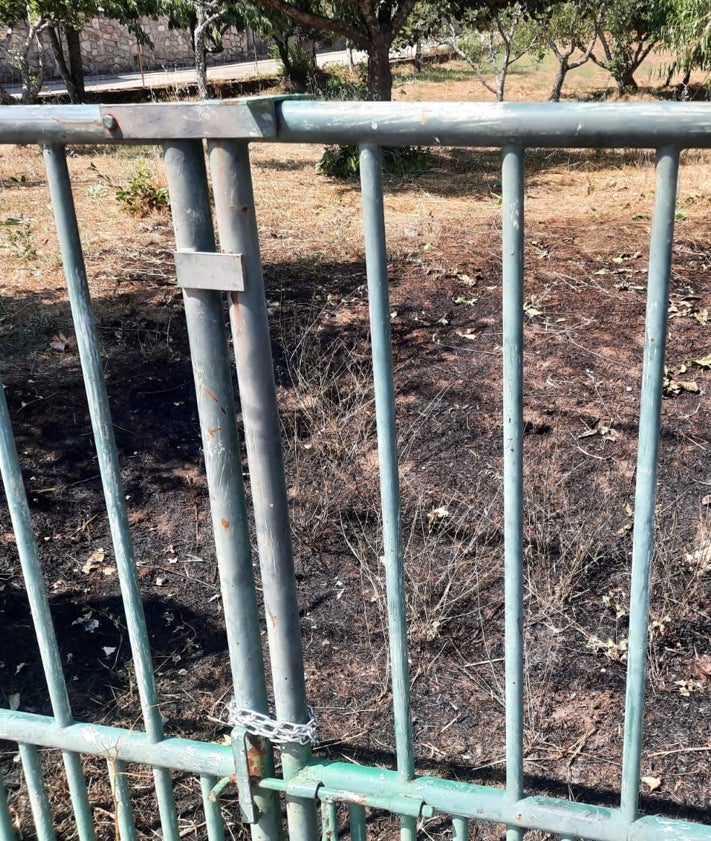 Imagen secundaria 2 - El vehículo y la paja calcinados en Linares.