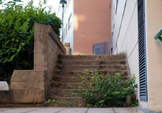 Caminando entre malas hierbas