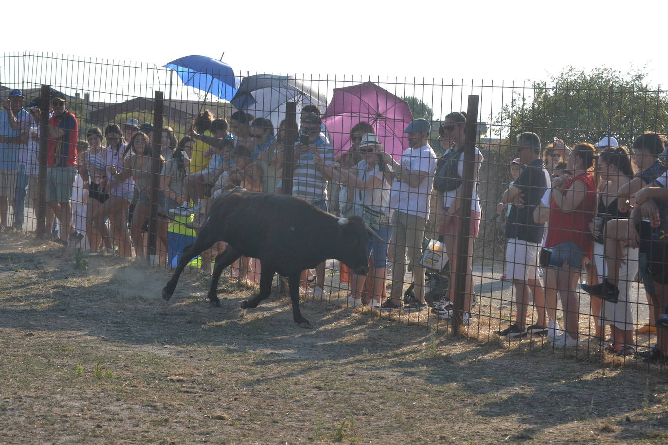 Un día repleto de emociones en Peralejos de Abajo